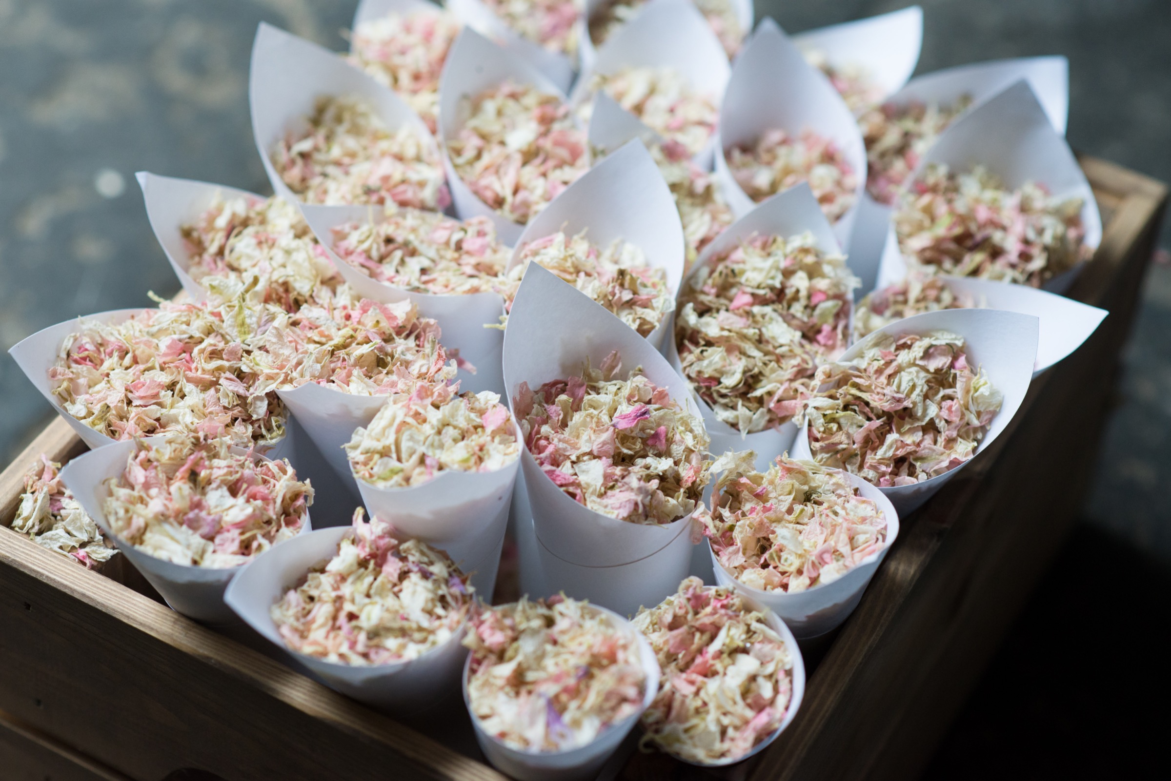 confetti cones at babington house in somerset